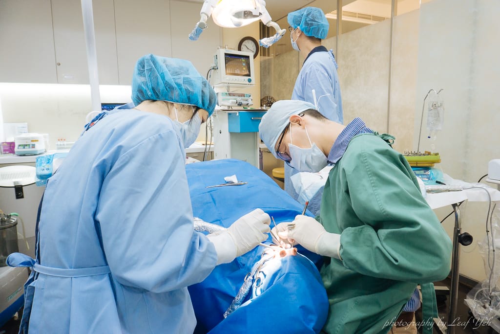 【有影】缺牙不再是問題！補骨粉助力植牙重建自信微笑